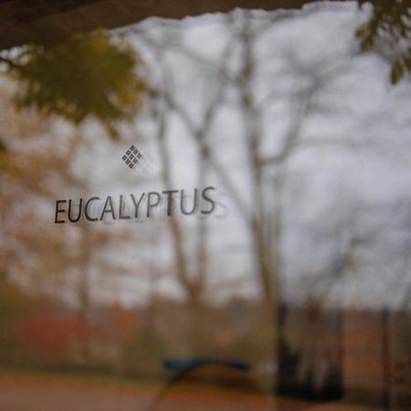 Chambres D'Hotes Eucalyptus Et Glycine Genval Extérieur photo